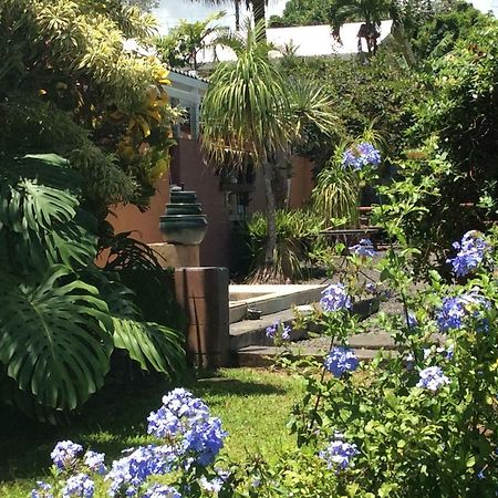 Mediteranean Style Ohana Rental / Garden Bungalow In Pahoa Honolulu Landing Екстериор снимка