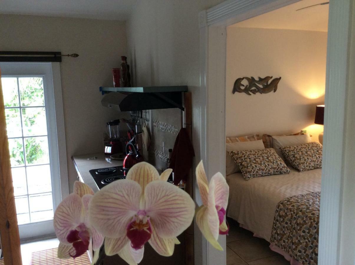 Mediteranean Style Ohana Rental / Garden Bungalow In Pahoa Honolulu Landing Екстериор снимка
