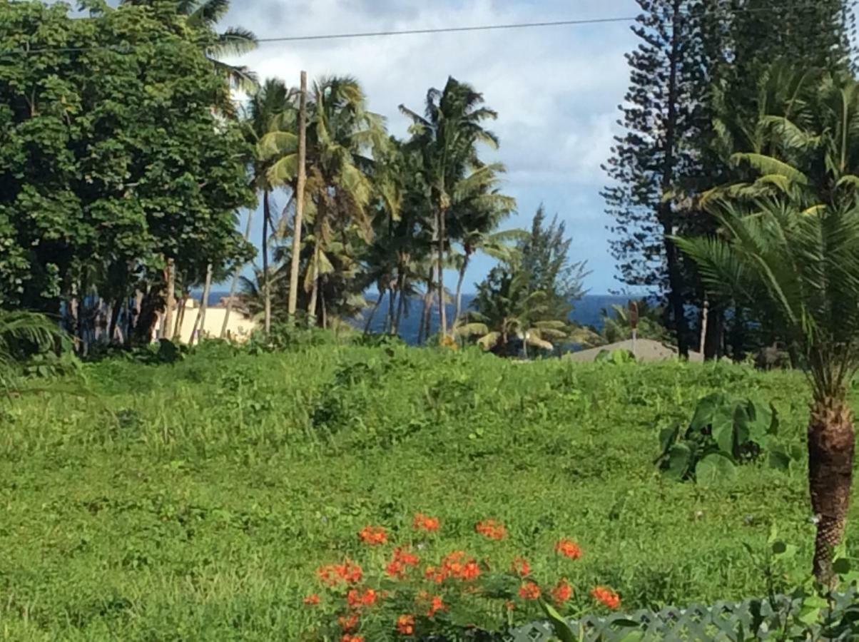 Mediteranean Style Ohana Rental / Garden Bungalow In Pahoa Honolulu Landing Екстериор снимка