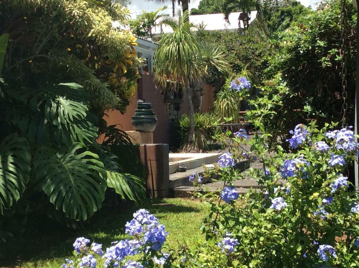 Mediteranean Style Ohana Rental / Garden Bungalow In Pahoa Honolulu Landing Екстериор снимка