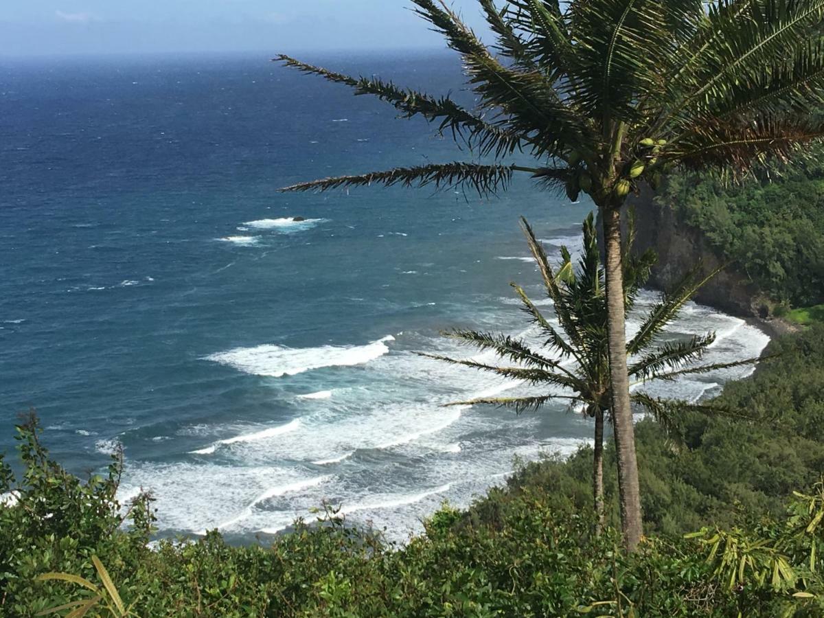 Mediteranean Style Ohana Rental / Garden Bungalow In Pahoa Honolulu Landing Екстериор снимка