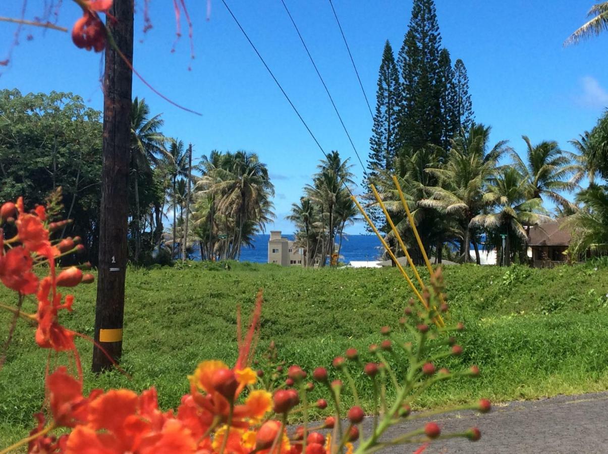 Mediteranean Style Ohana Rental / Garden Bungalow In Pahoa Honolulu Landing Екстериор снимка